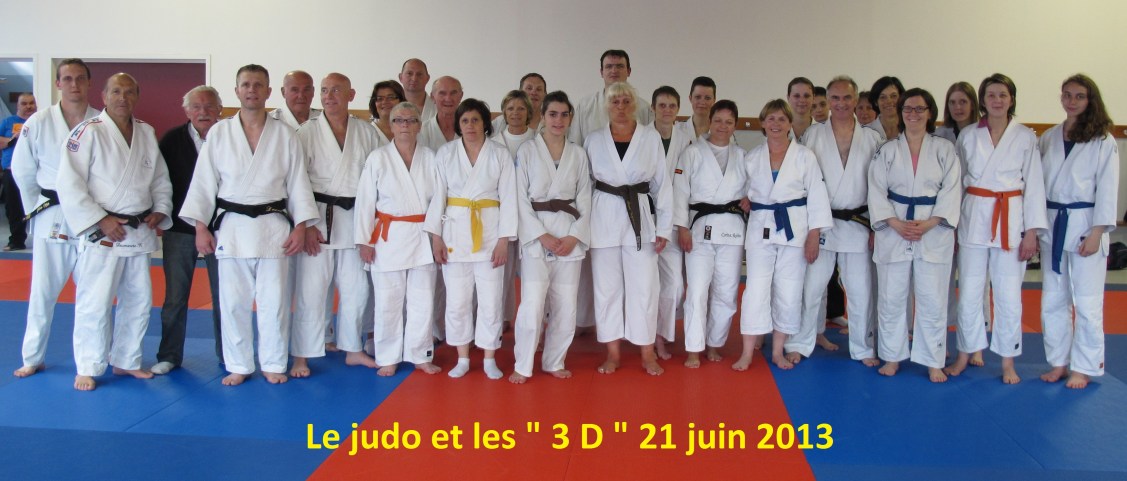 le judo et les 3d 21 06 2013