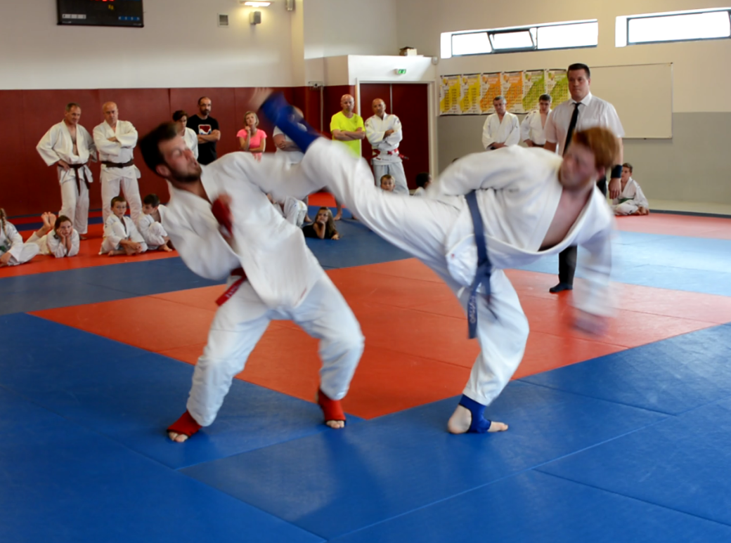 Ju jitsu fighting 3